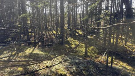 Lot 6&66 Woods Road Deer Isle ME 04627