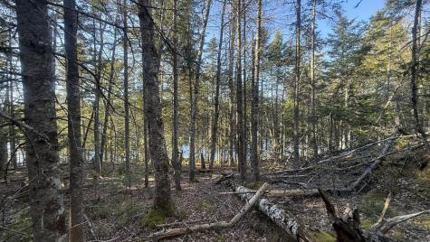 Lot 6&66 Woods Road Deer Isle ME 04627