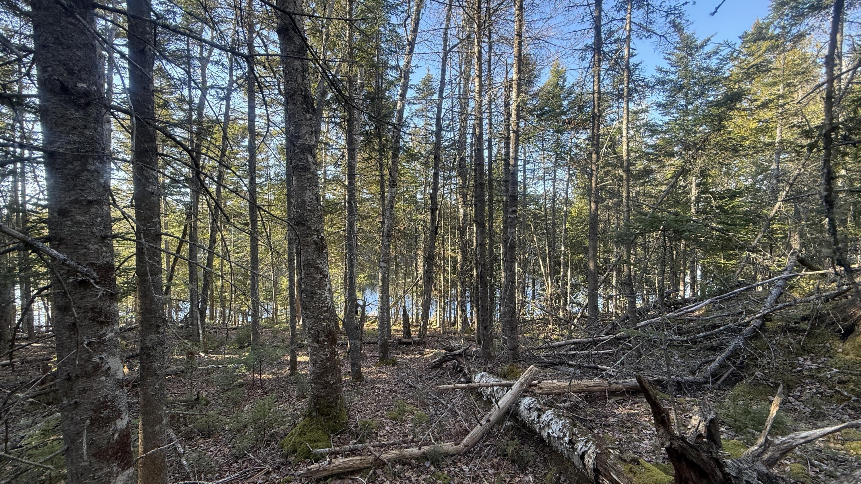 Lot 6&66 Woods Road Deer Isle ME 04627