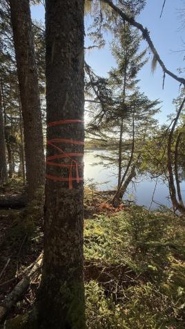 Lot 6&66 Woods Road Deer Isle ME 04627