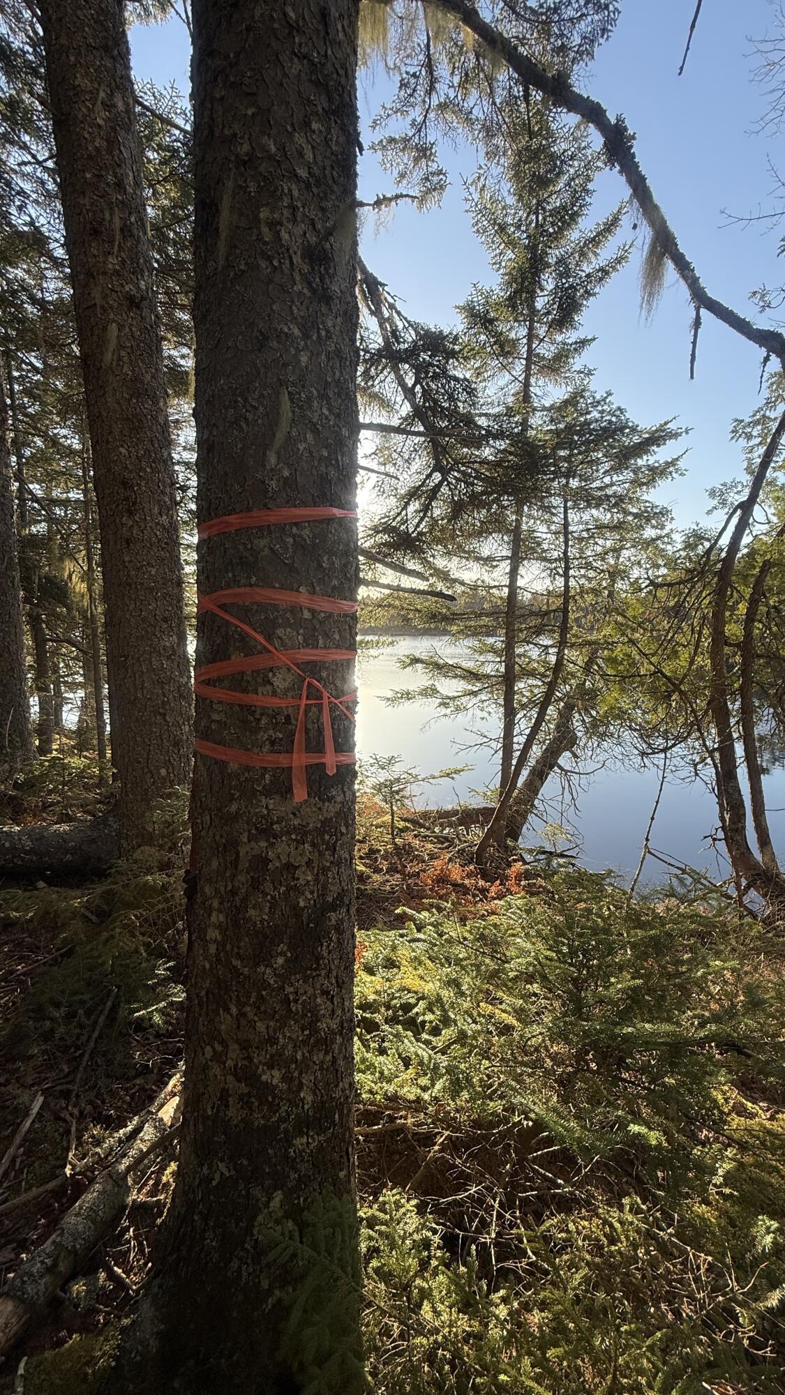 Lot 6&66 Woods Road Deer Isle ME 04627