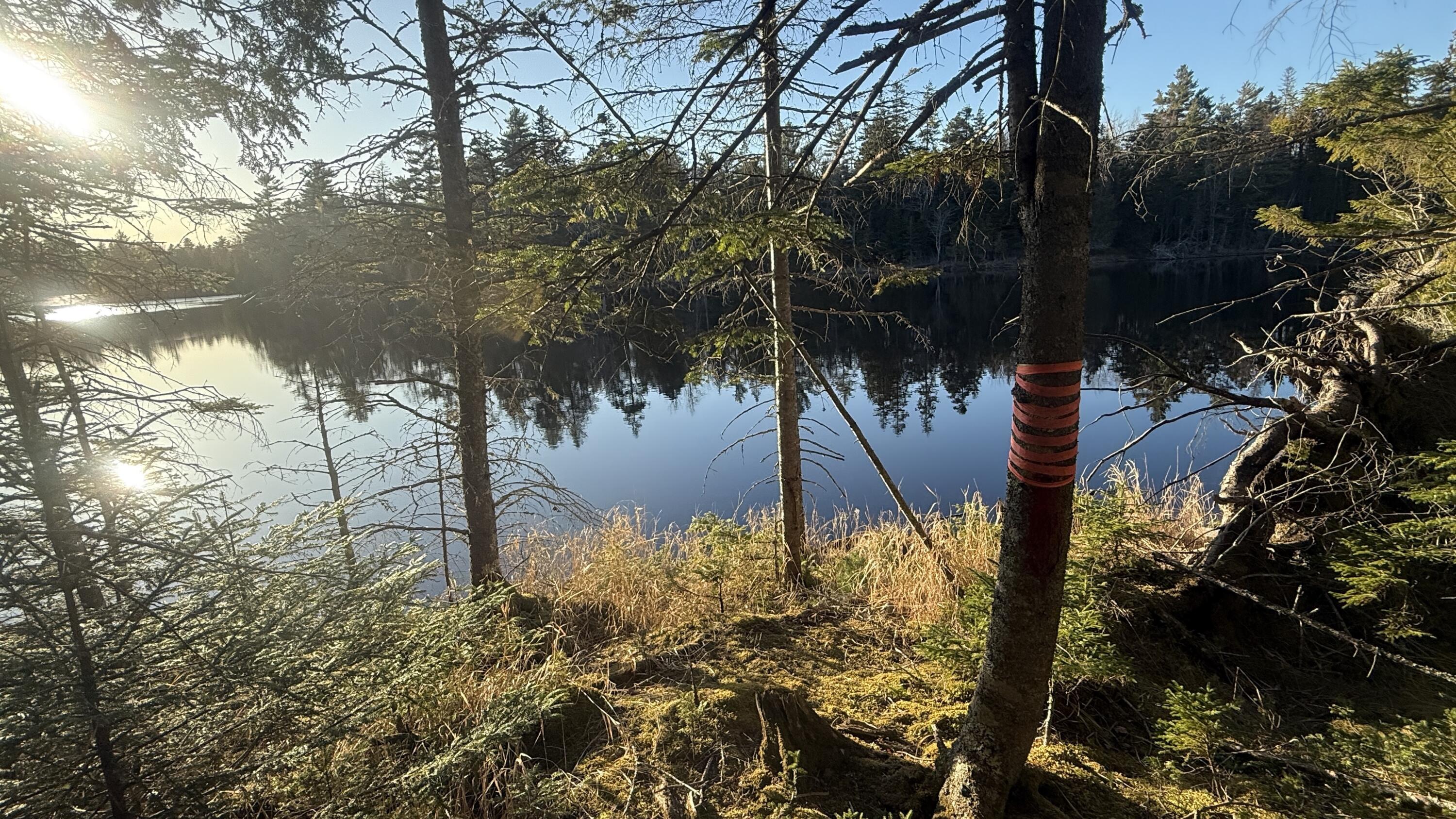 Lot 6&66 Woods Road Deer Isle ME 04627