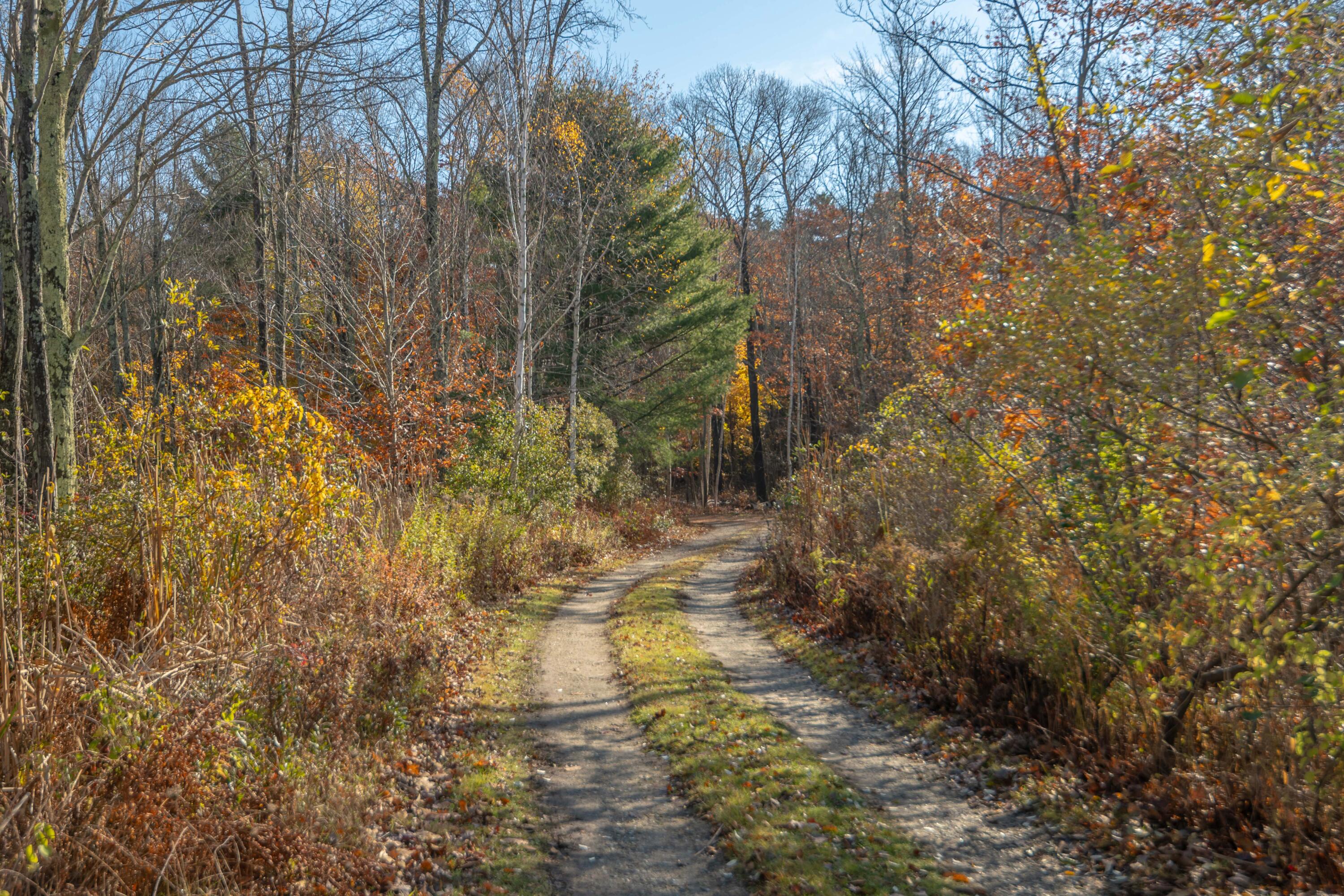 Lot 2 Buxhill Boulevard Chebeague Island ME 04017