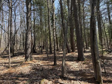 M2 L117a River Road Orrington ME 04474