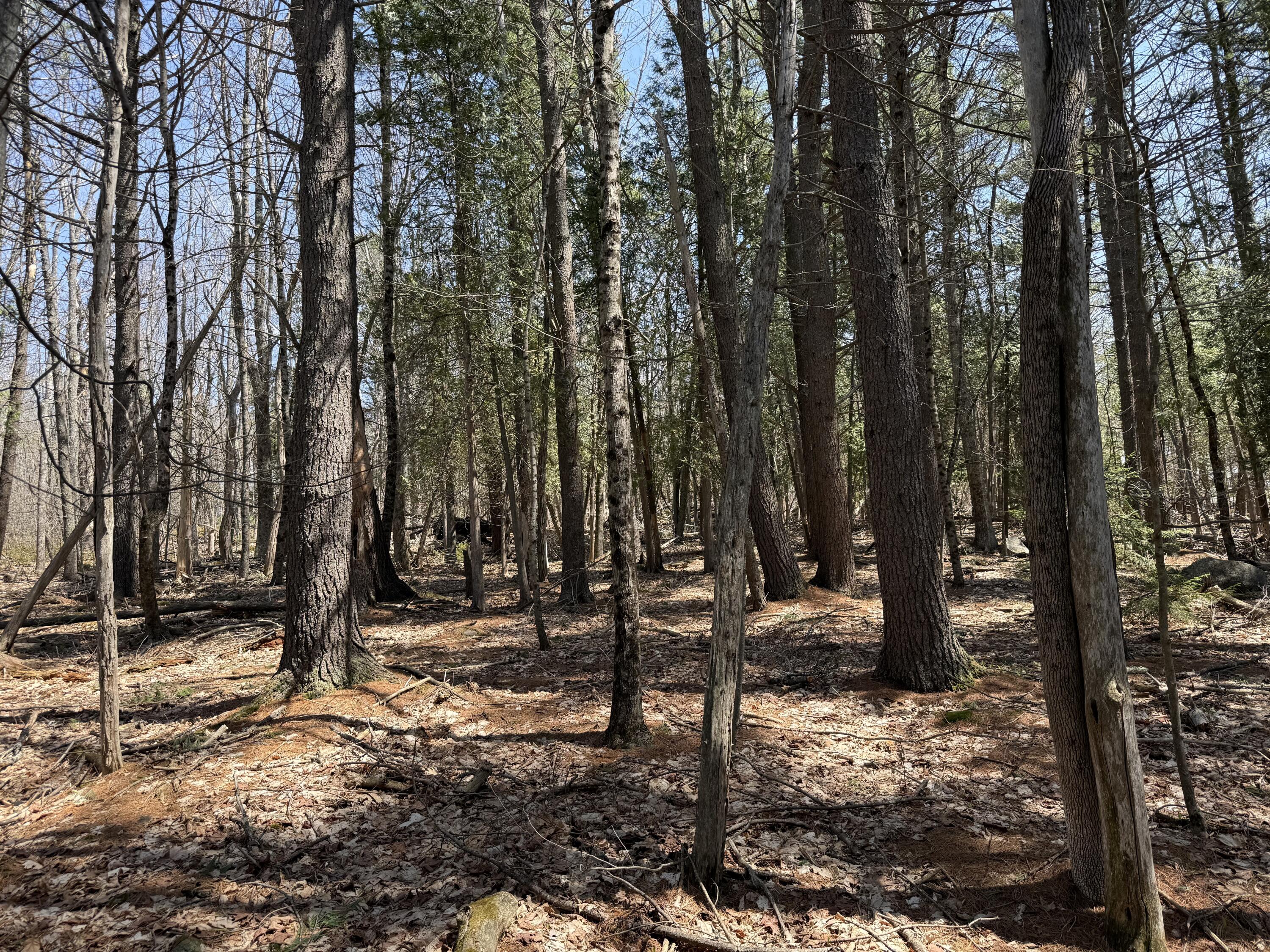 M2 L117a River Road Orrington ME 04474
