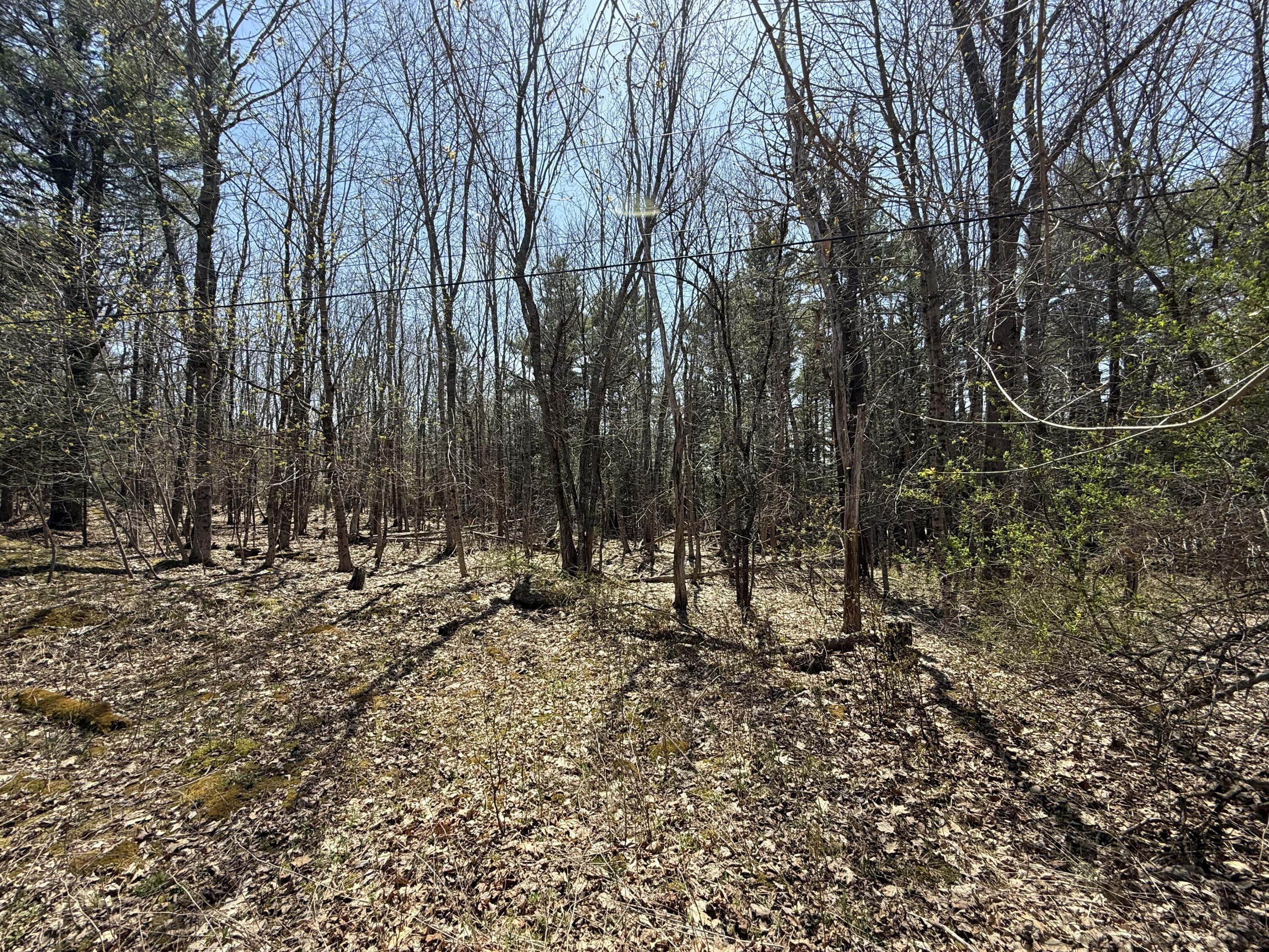 M2 L117a River Road Orrington ME 04474