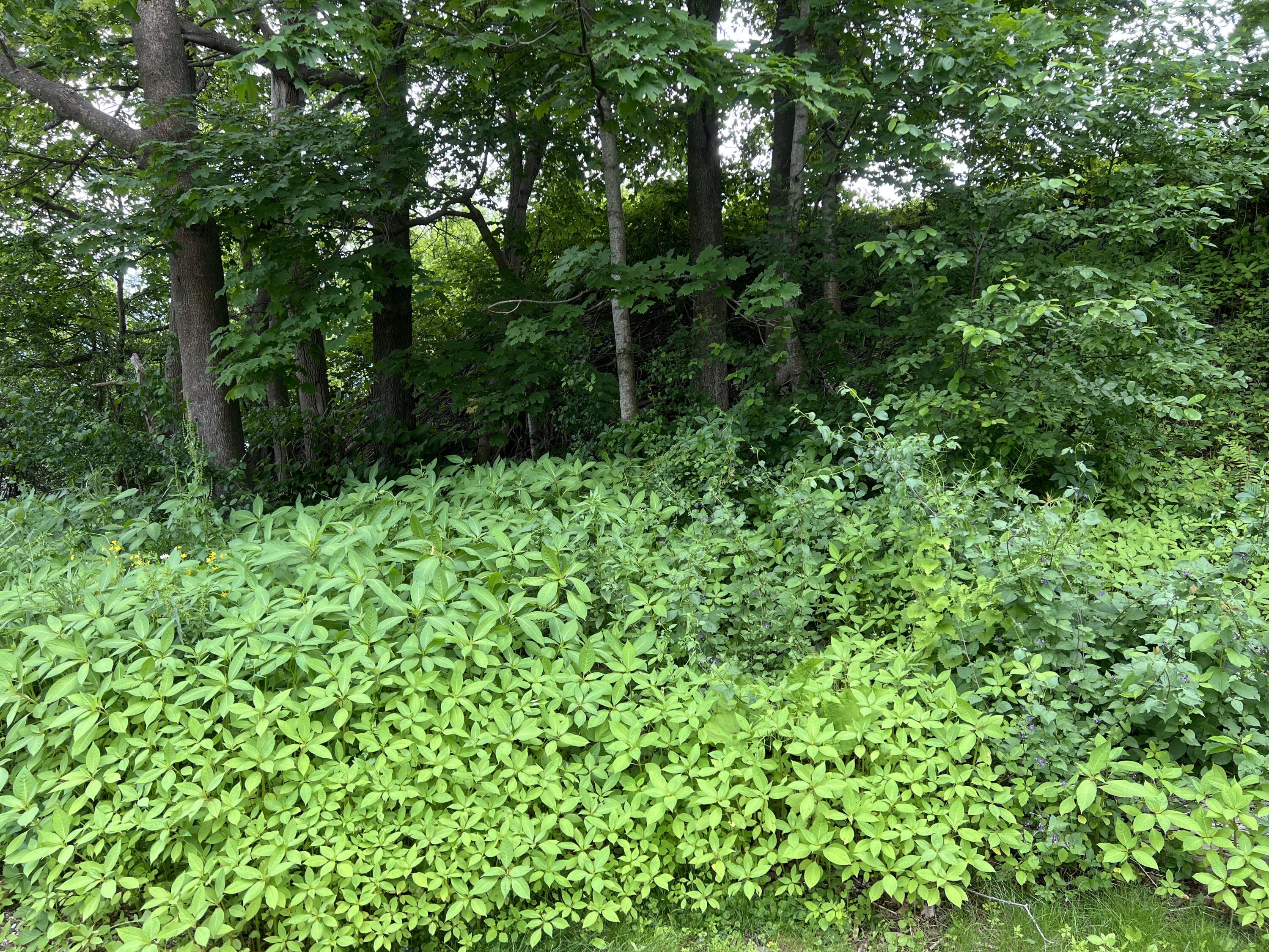 Lot 76a Eastern Road Warren ME 04864