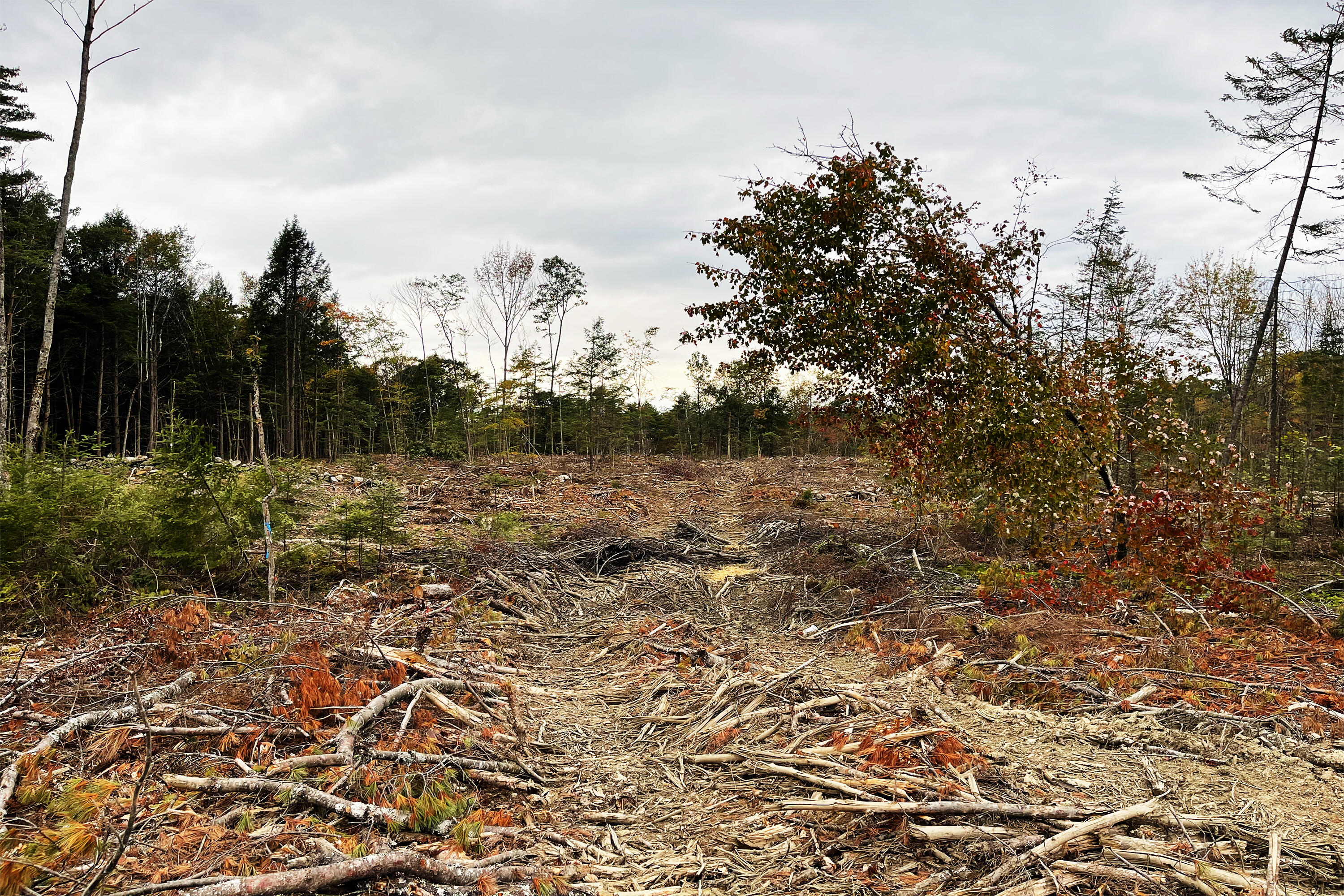 Tbd Pond Road West Gardiner ME 04345