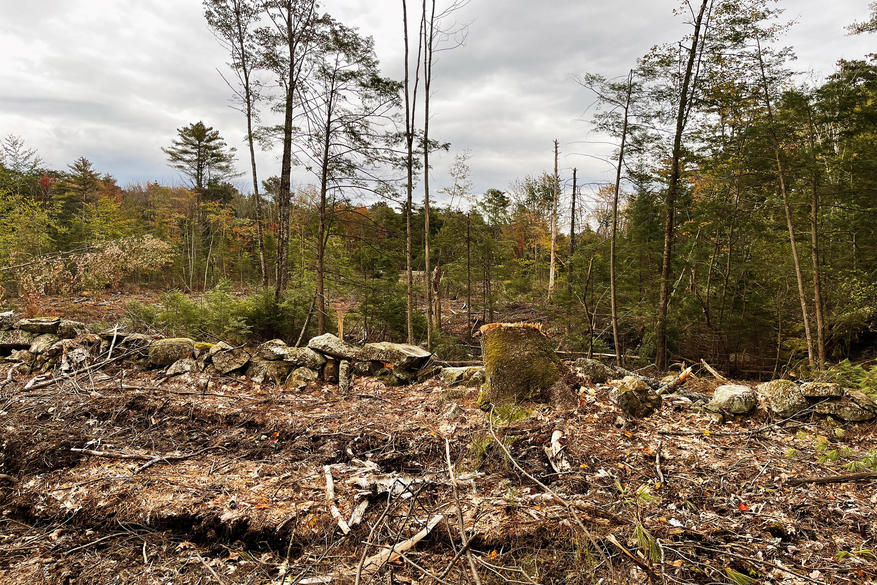 Tbd Pond Road West Gardiner ME 04345