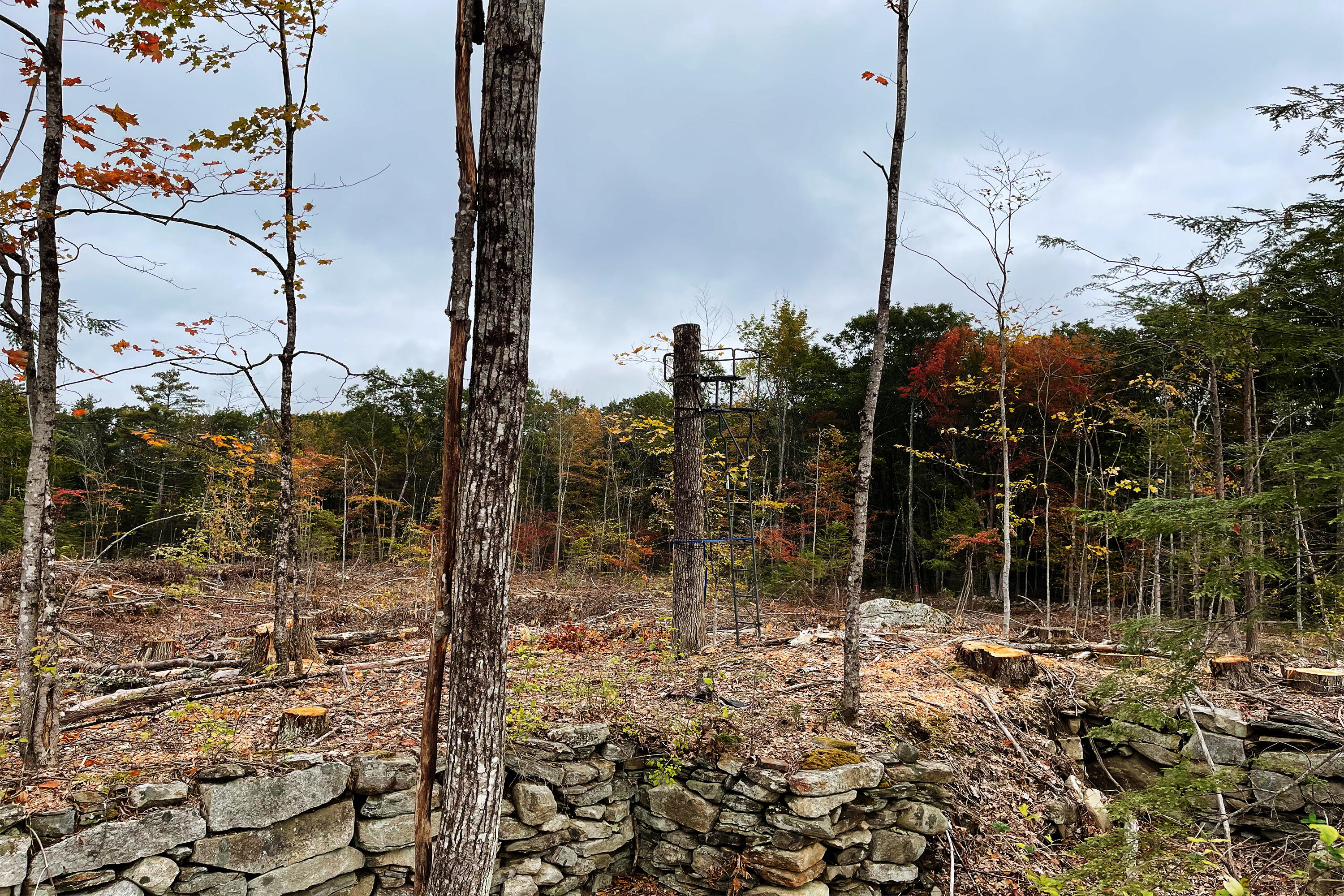 Tbd Pond Road West Gardiner ME 04345