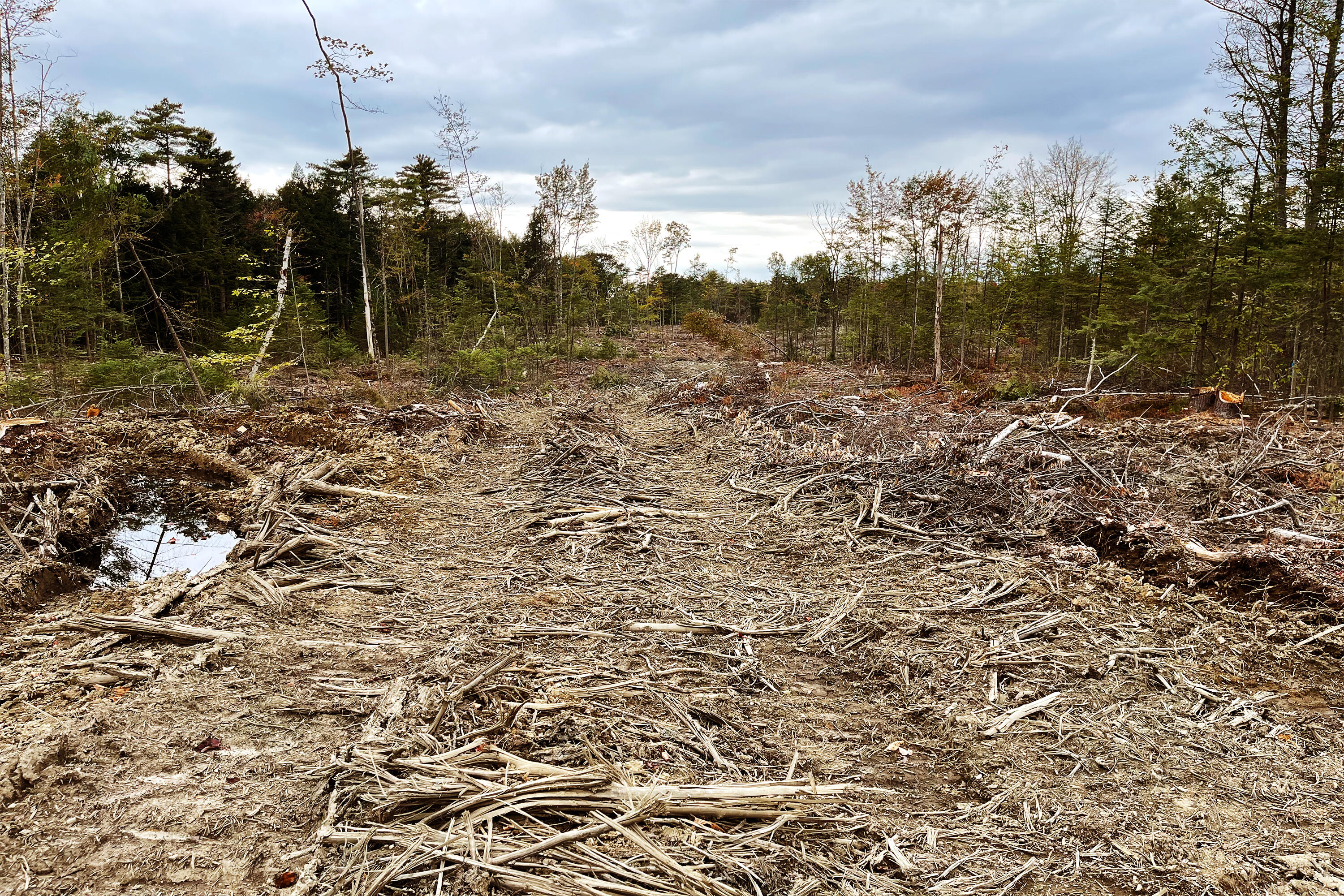 Tbd Pond Road West Gardiner ME 04345