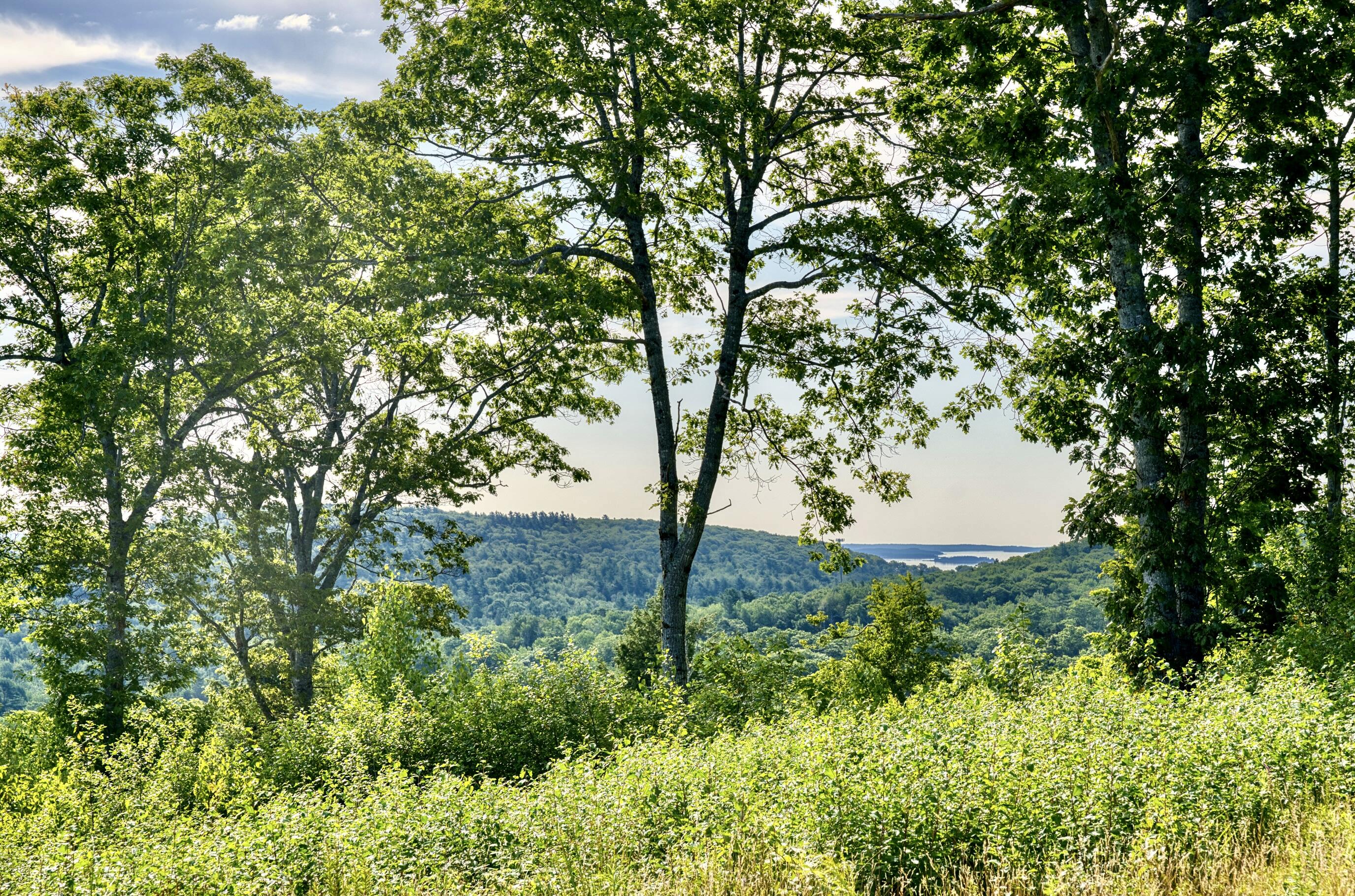 Lot 26 Mariner's Watch Road Northport ME 04849