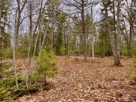 92L Russell Road Bristol ME 04541