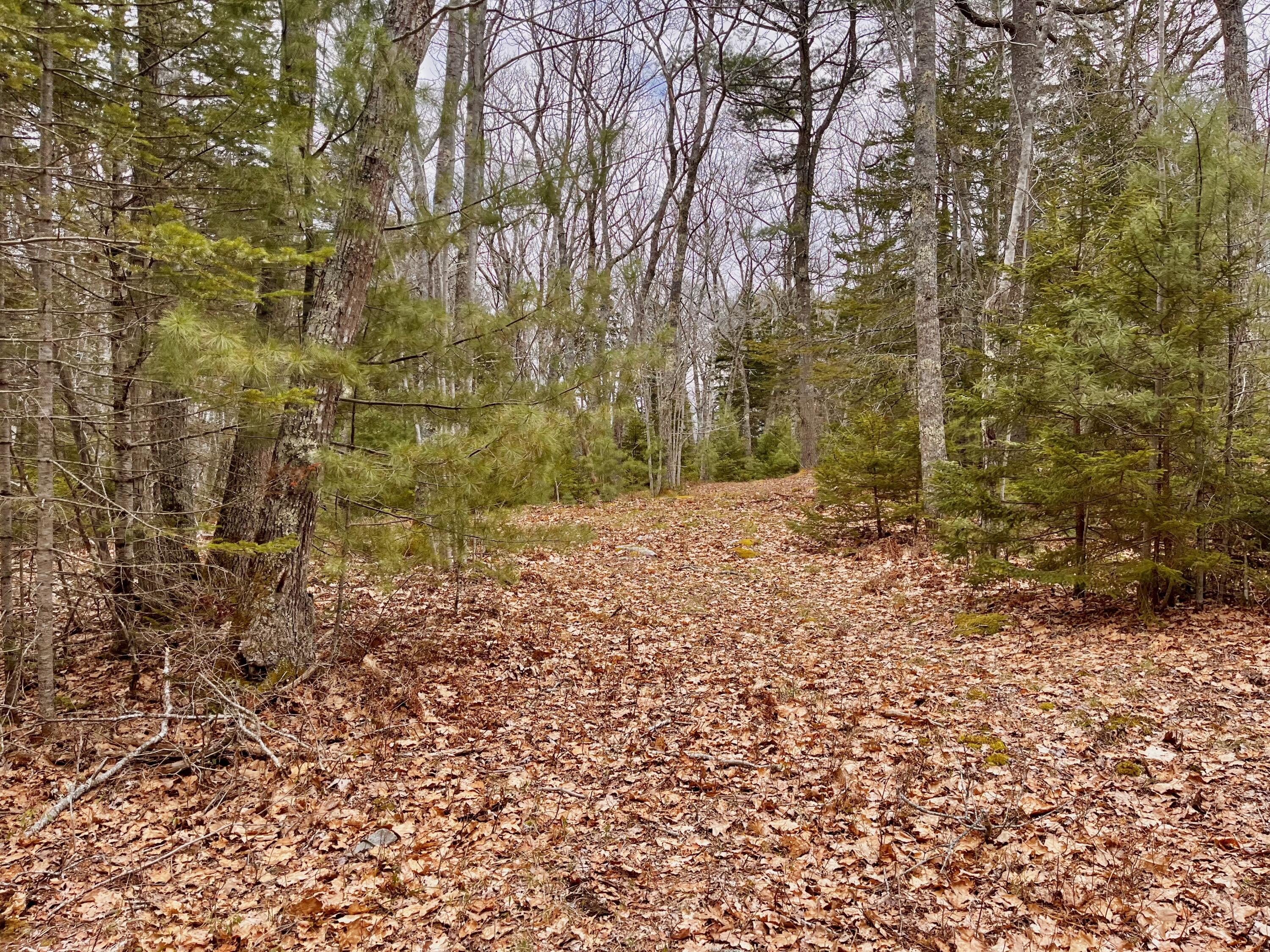 92L Russell Road Bristol ME 04541