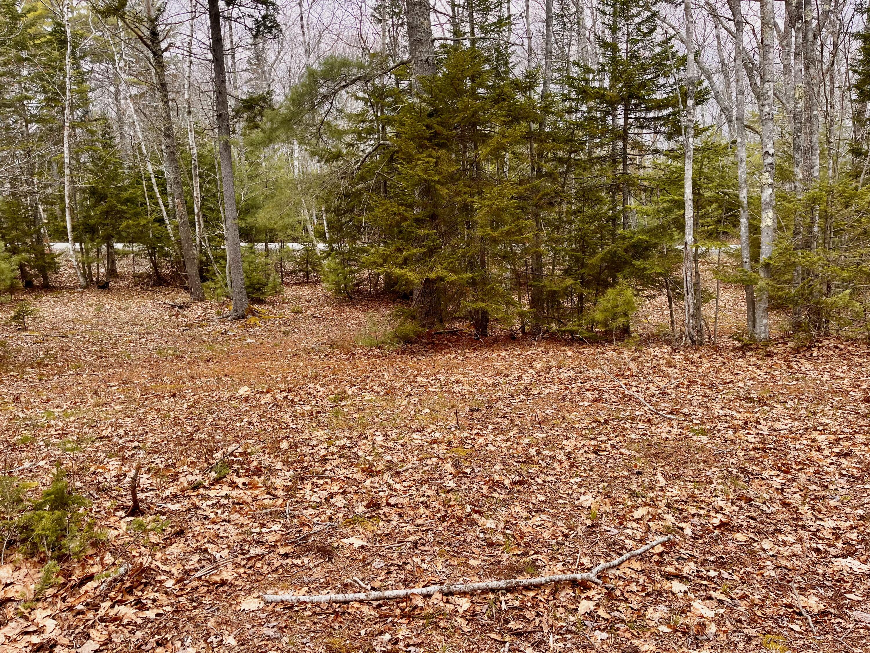 92L Russell Road Bristol ME 04541
