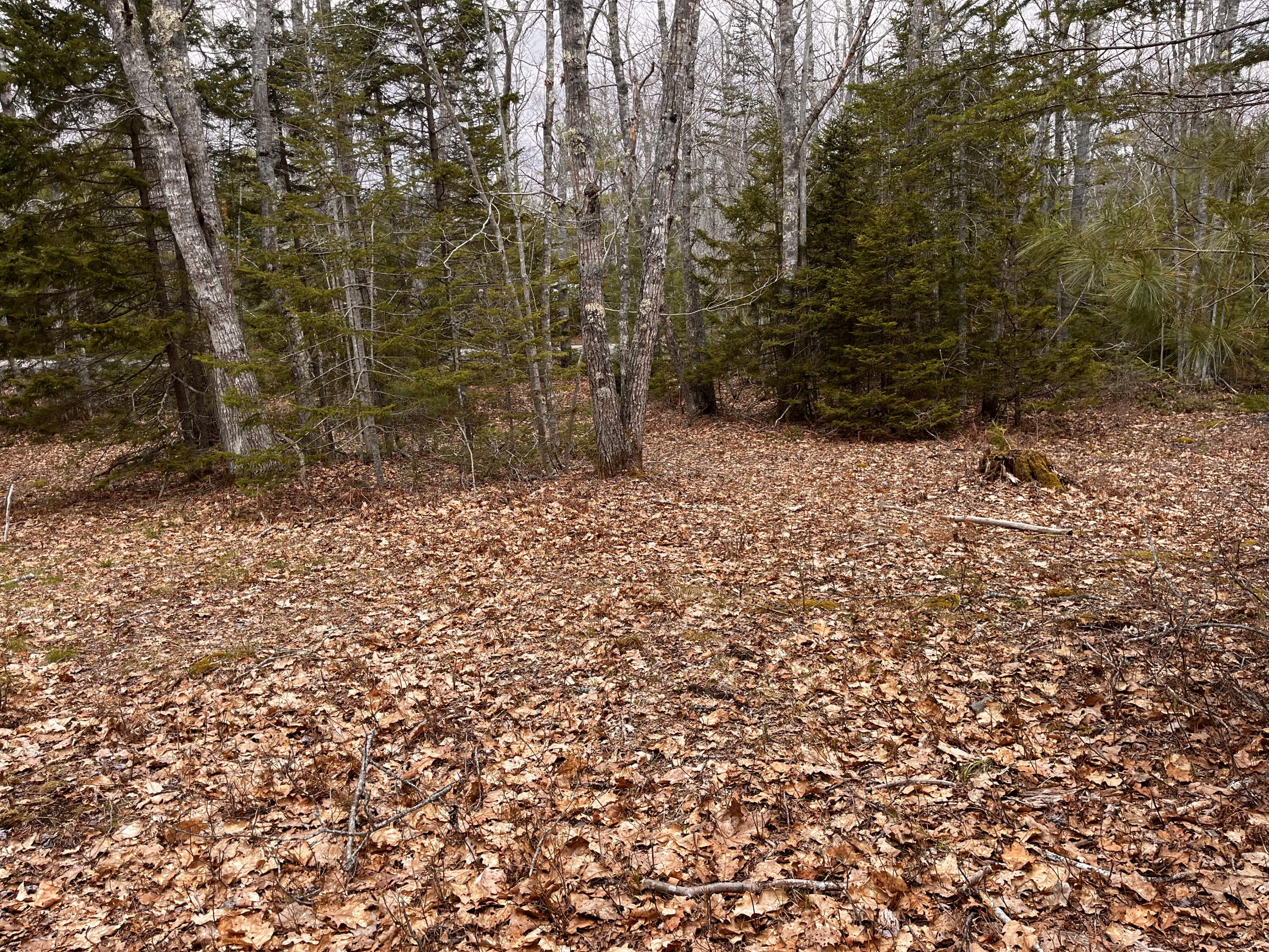 92L Russell Road Bristol ME 04541