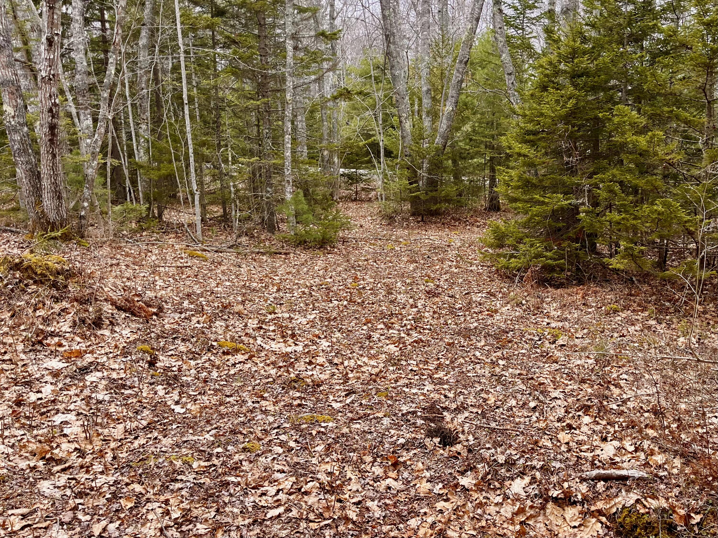 92L Russell Road Bristol ME 04541