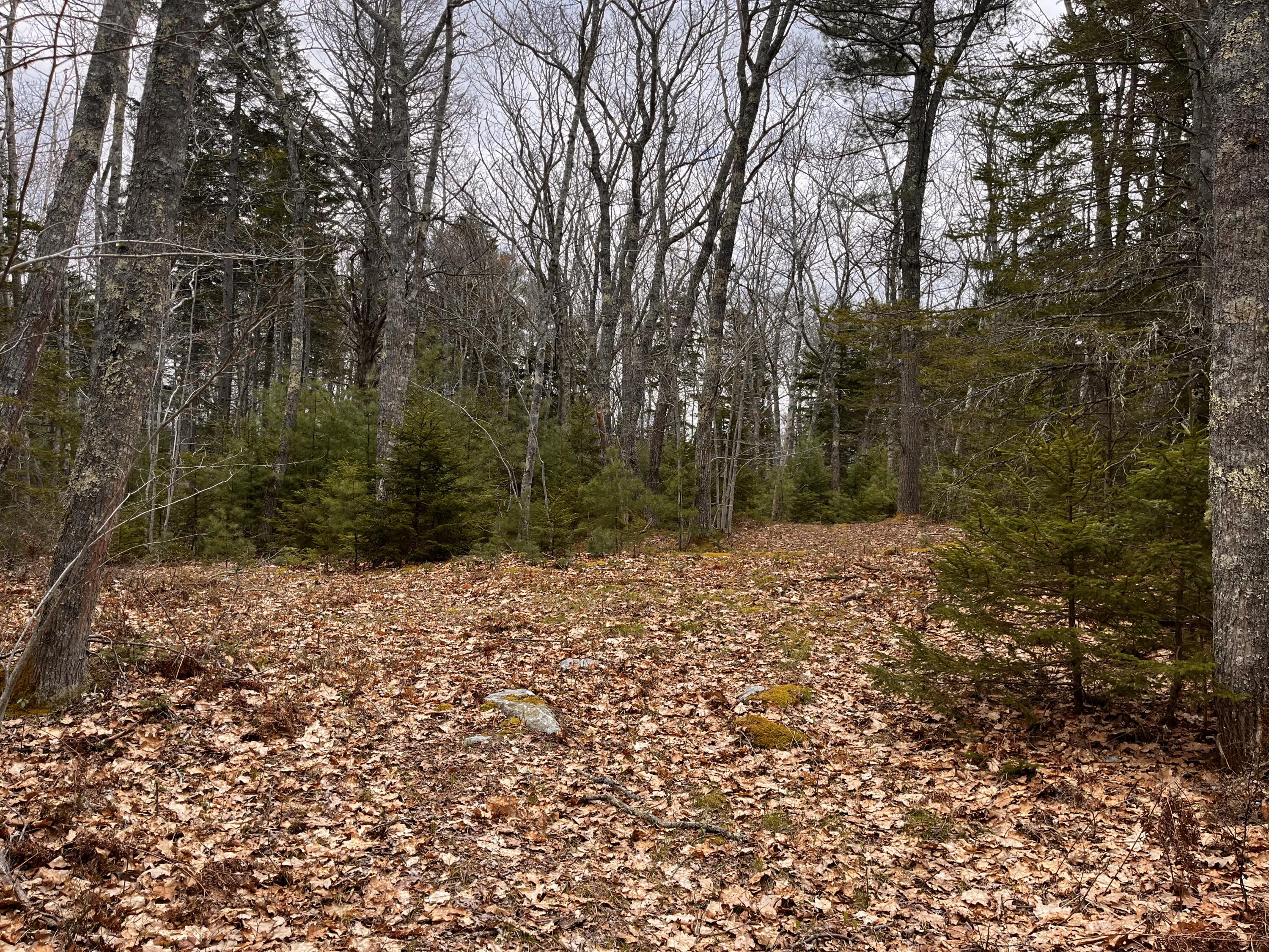 92L Russell Road Bristol ME 04541