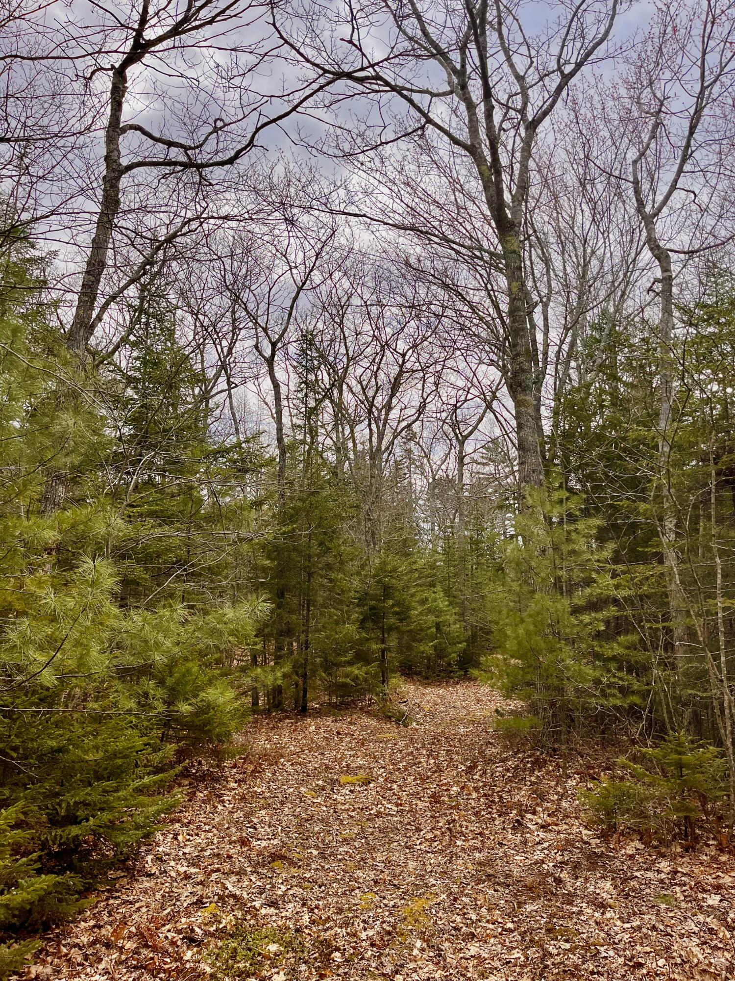 92L Russell Road Bristol ME 04541