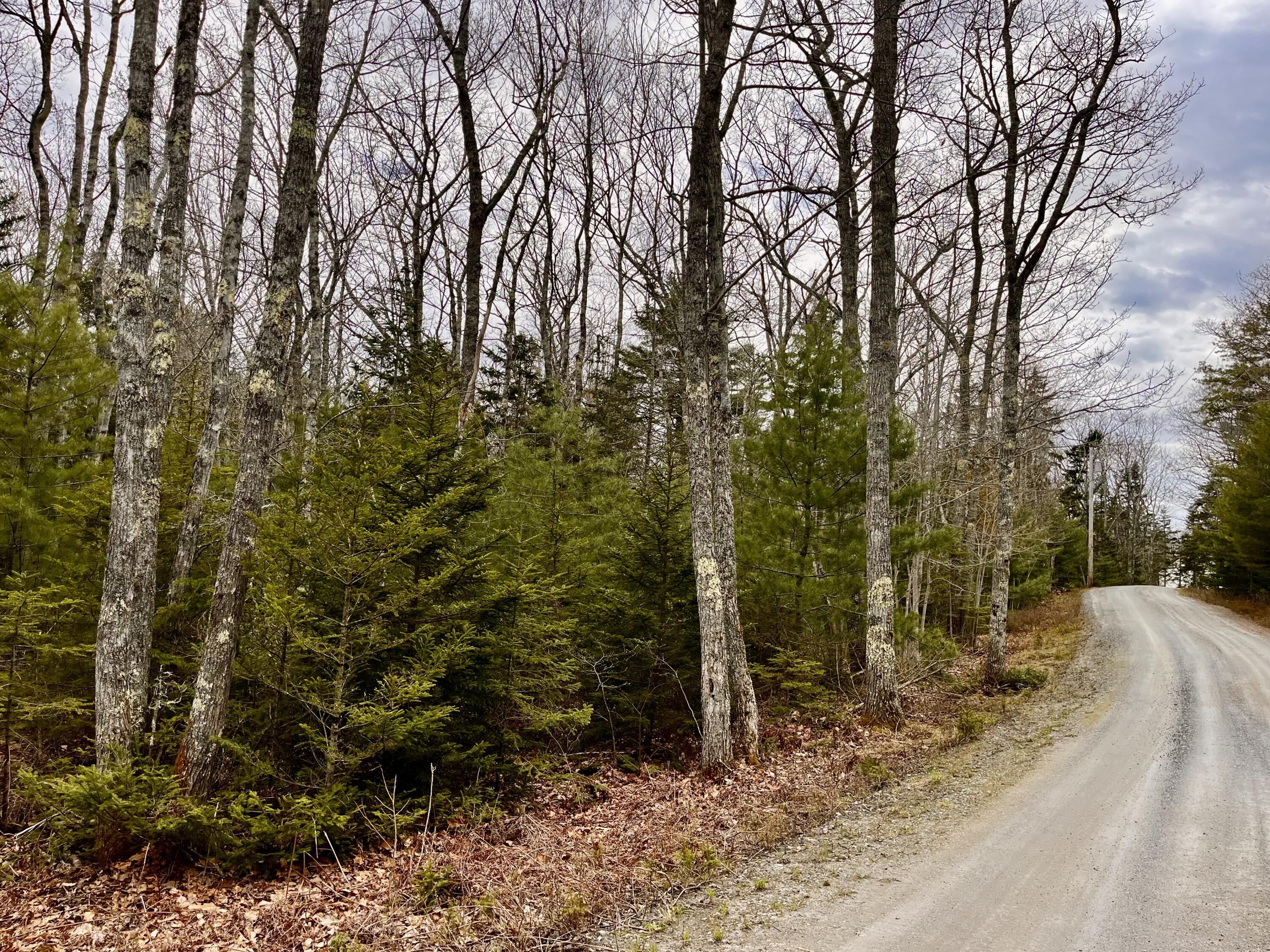 92L Russell Road Bristol ME 04541