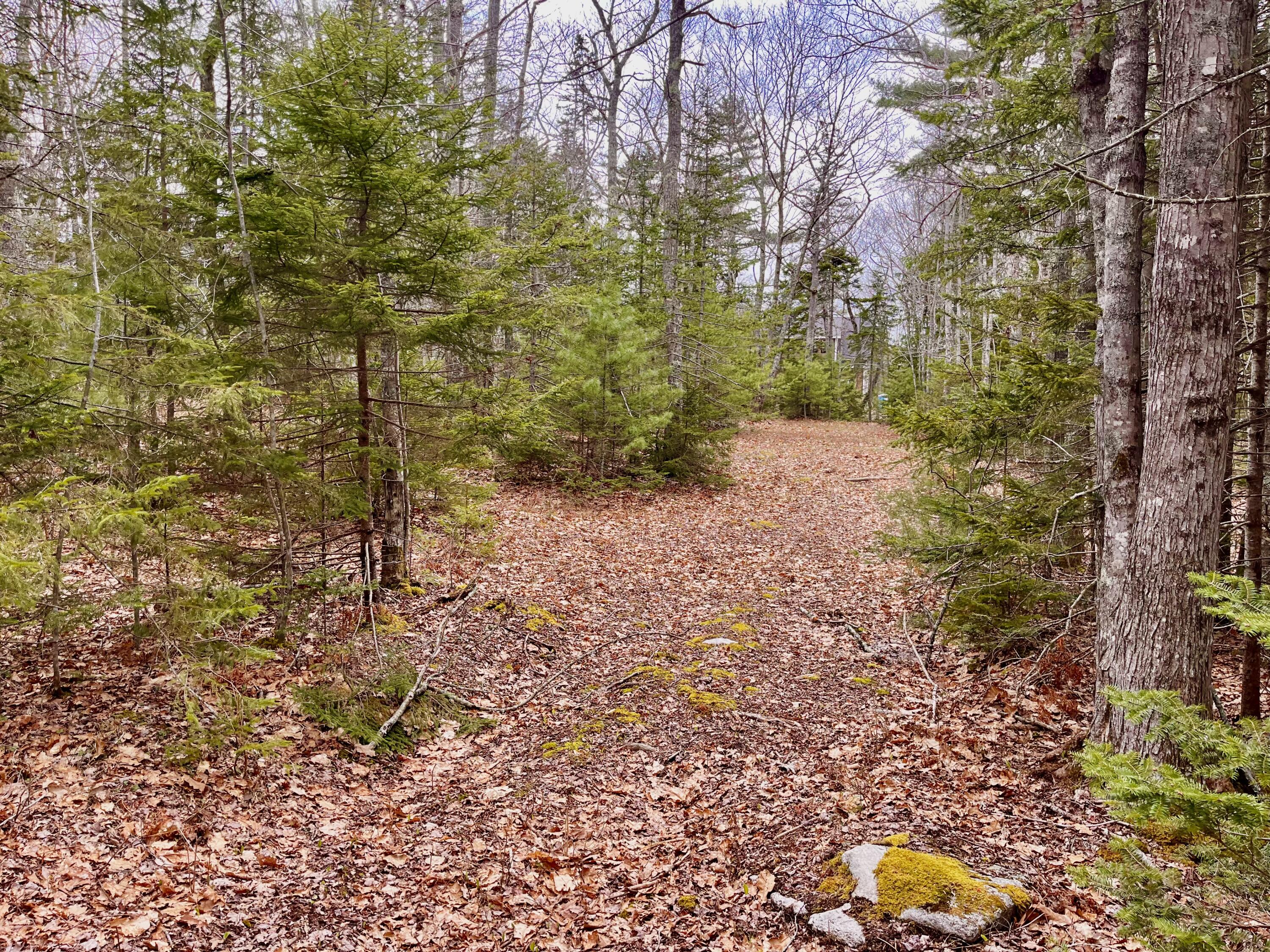 92L Russell Road Bristol ME 04541
