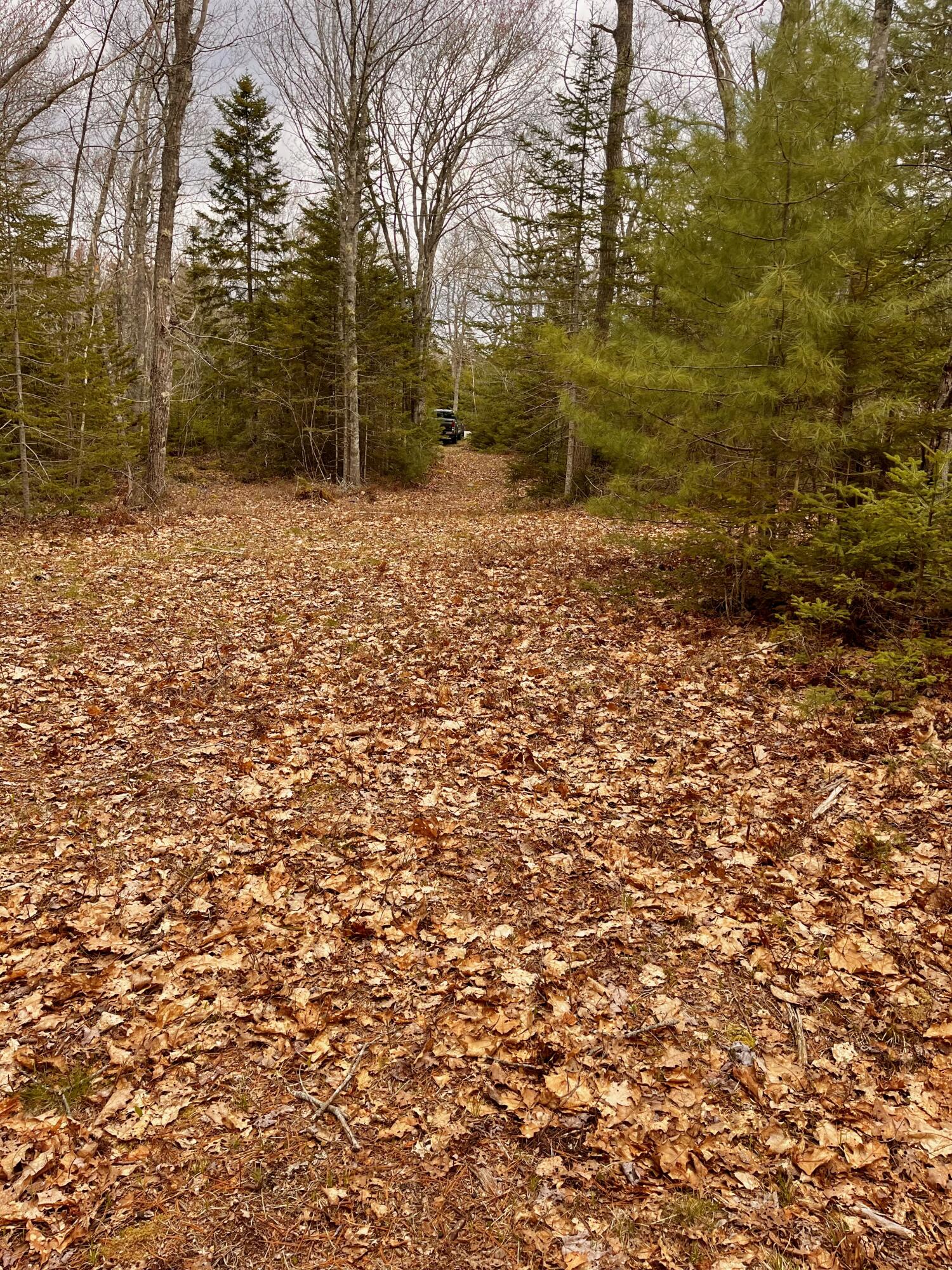 92L Russell Road Bristol ME 04541