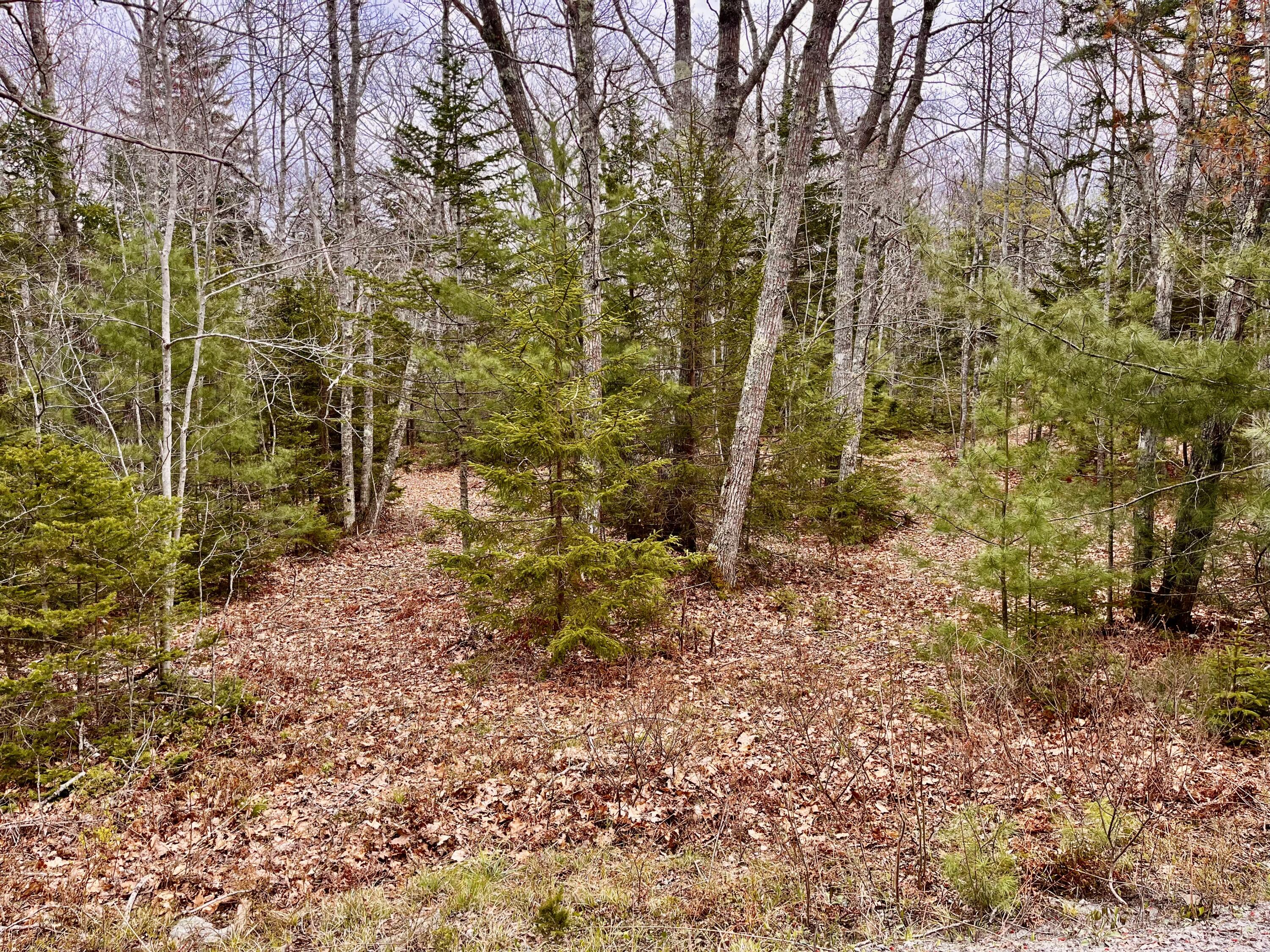 92L Russell Road Bristol ME 04541