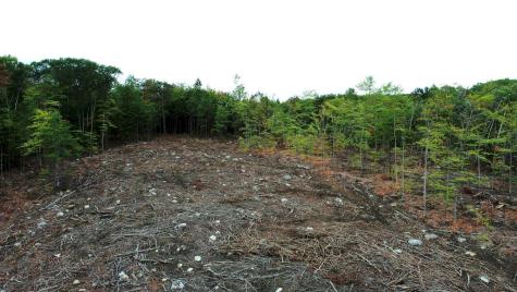 1112 Canaan Road Skowhegan ME 04976