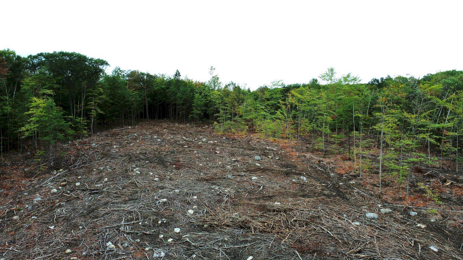 1112 Canaan Road Skowhegan ME 04976