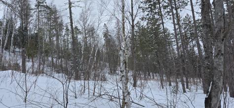 MAP31 Lot12 Madawaska ME 04756