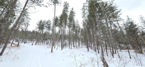 MAP31 Lot12 Madawaska ME 04756