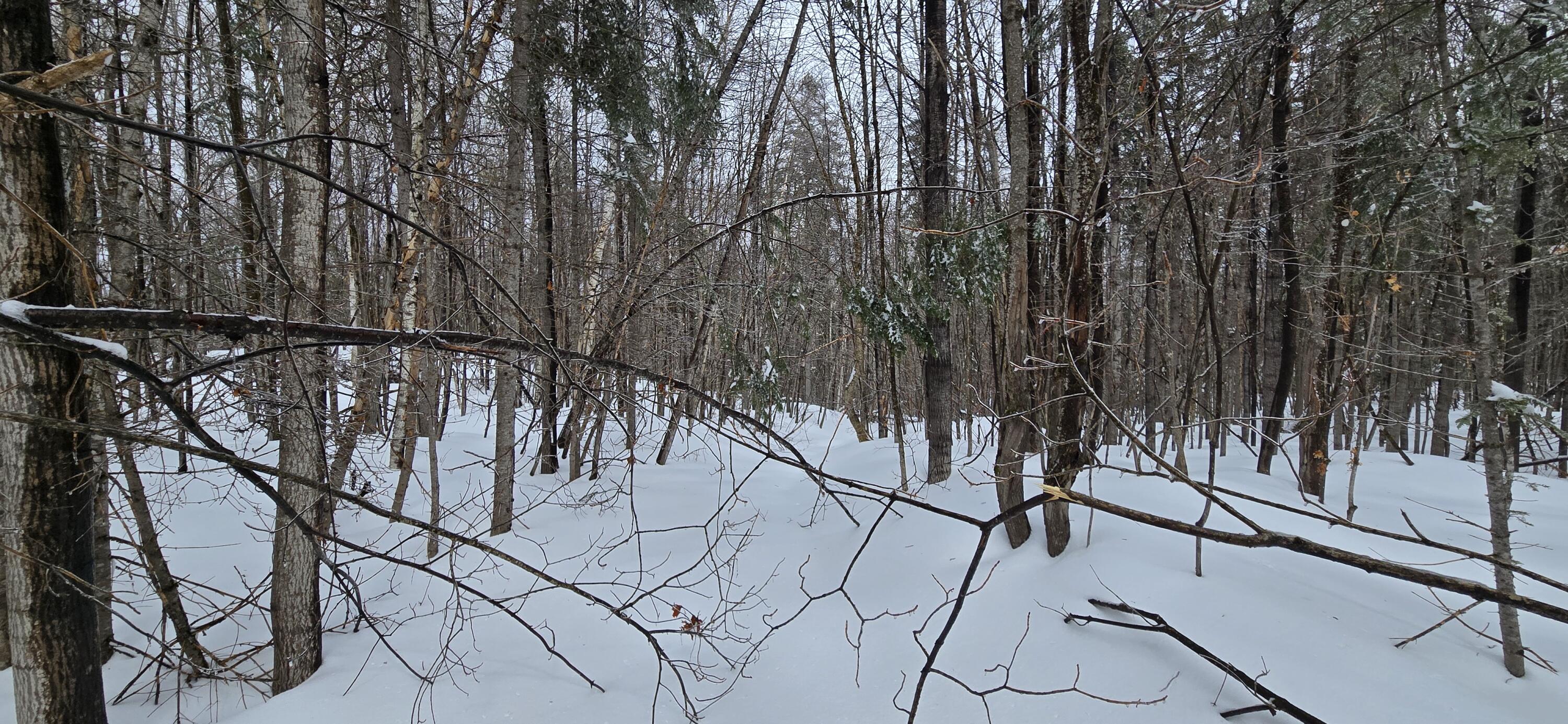 MAP31 Lot12 Madawaska ME 04756