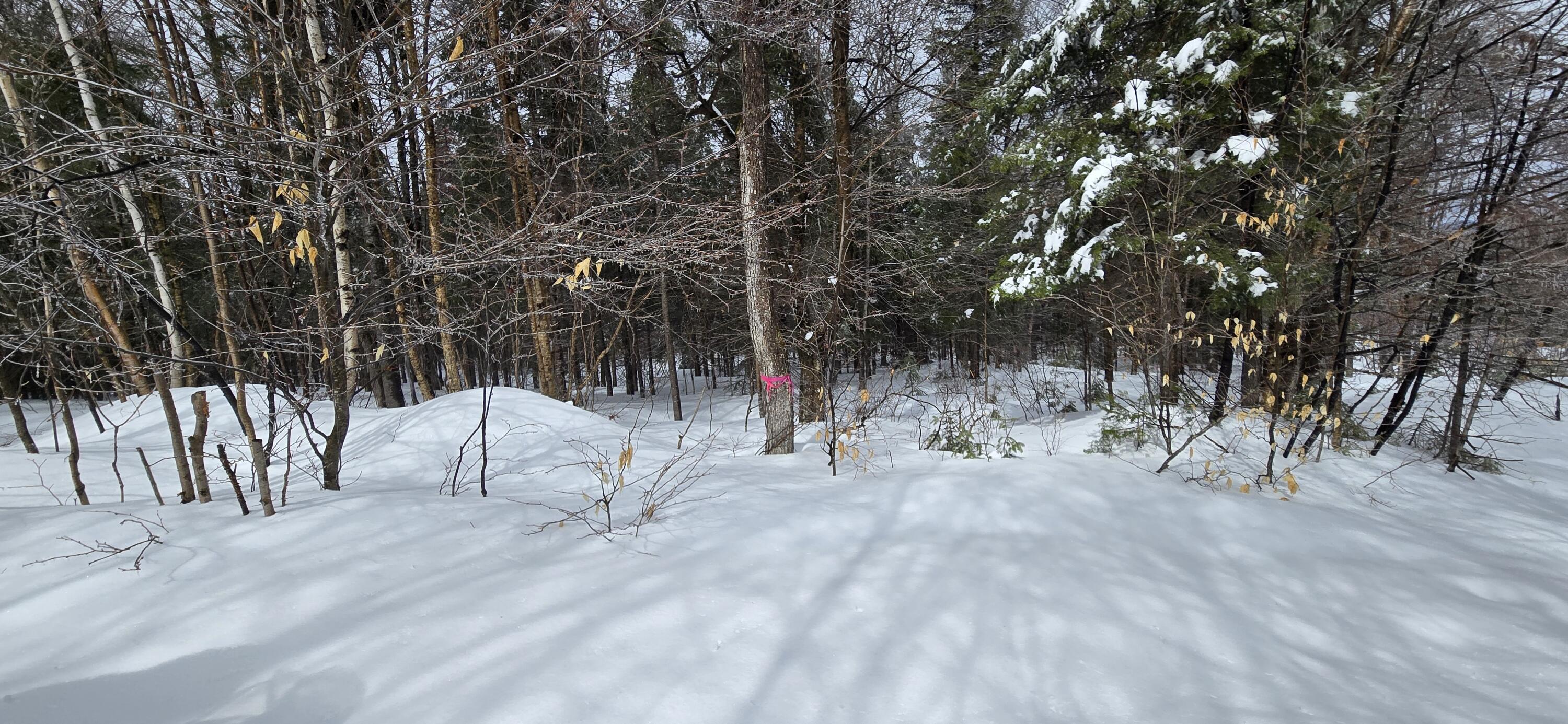 MAP31 Lot12 Madawaska ME 04756