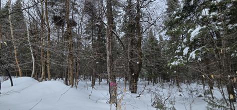 MAP31 Lot12 Madawaska ME 04756