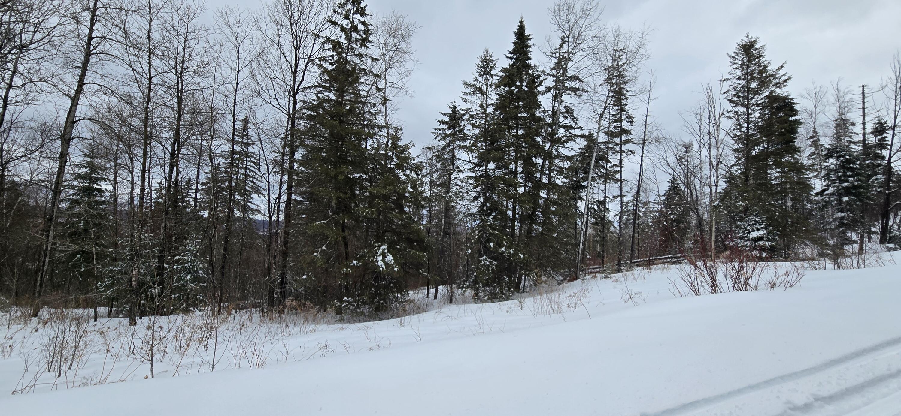 MAP31 Lot12 Madawaska ME 04756