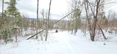 MAP31 Lot12 Madawaska ME 04756