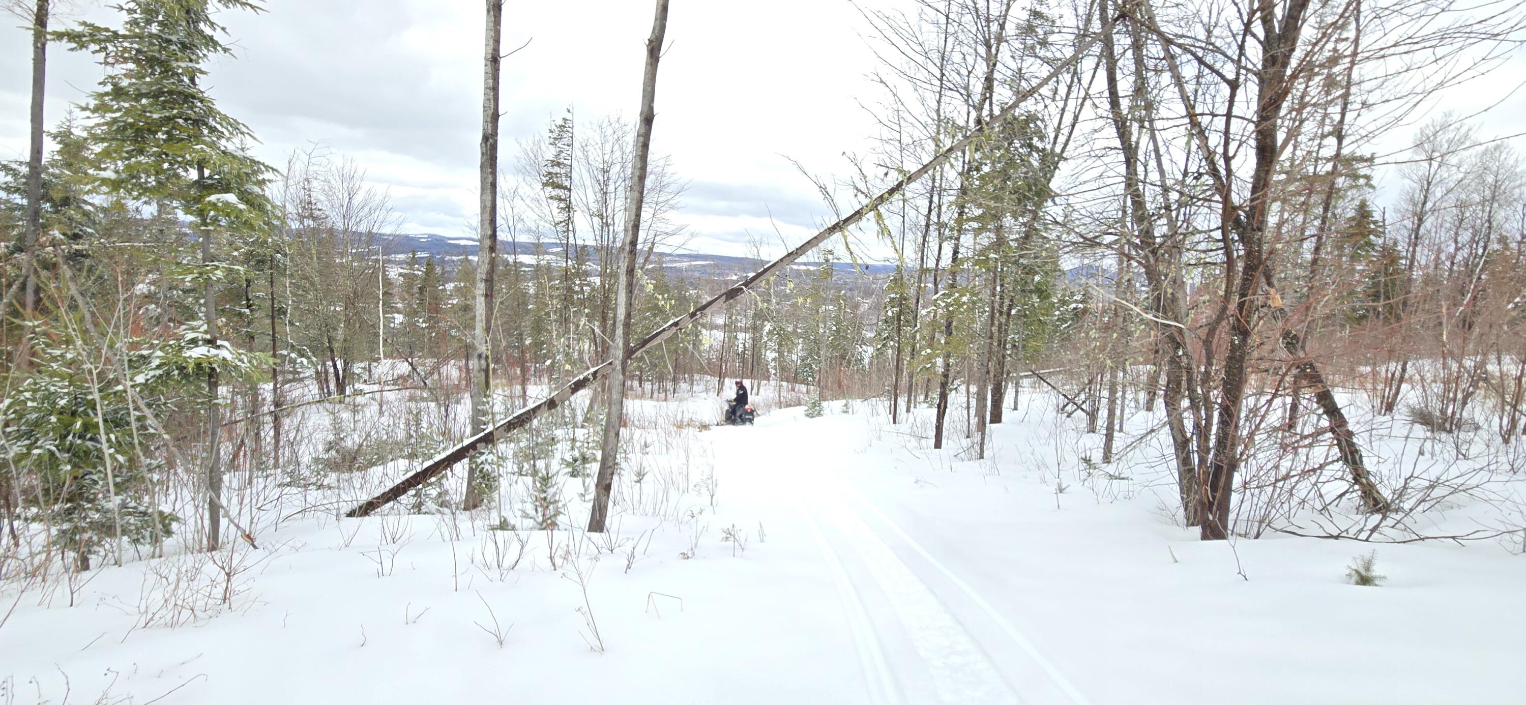 MAP31 Lot12 Madawaska ME 04756
