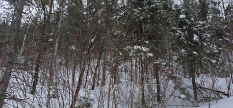 MAP31 Lot12 Madawaska ME 04756