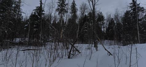MAP31 Lot12 Madawaska ME 04756