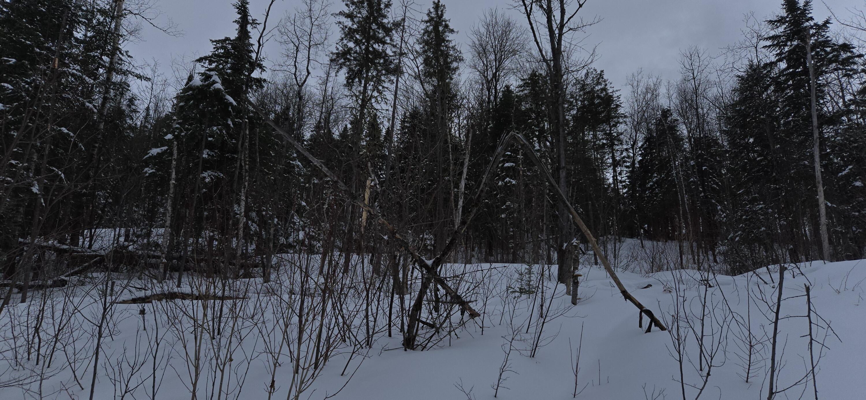MAP31 Lot12 Madawaska ME 04756