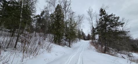 MAP31 Lot12 Madawaska ME 04756
