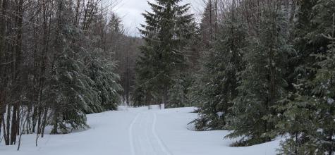 MAP31 Lot12 Madawaska ME 04756
