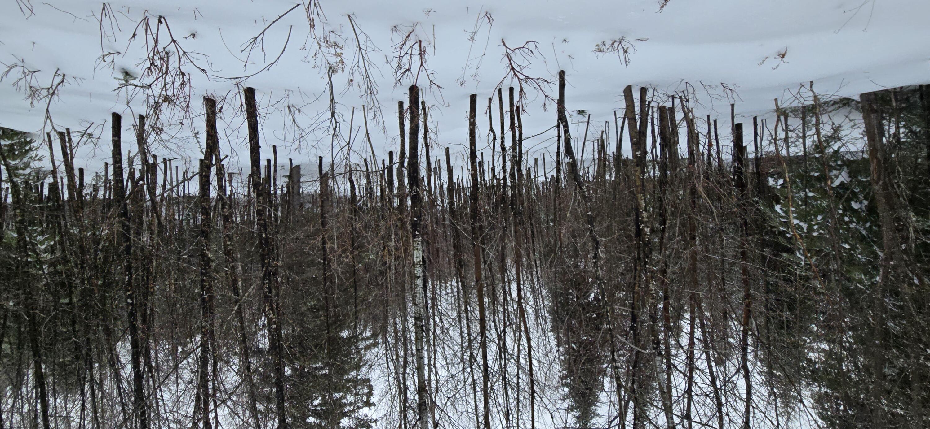 MAP31 Lot12 Madawaska ME 04756
