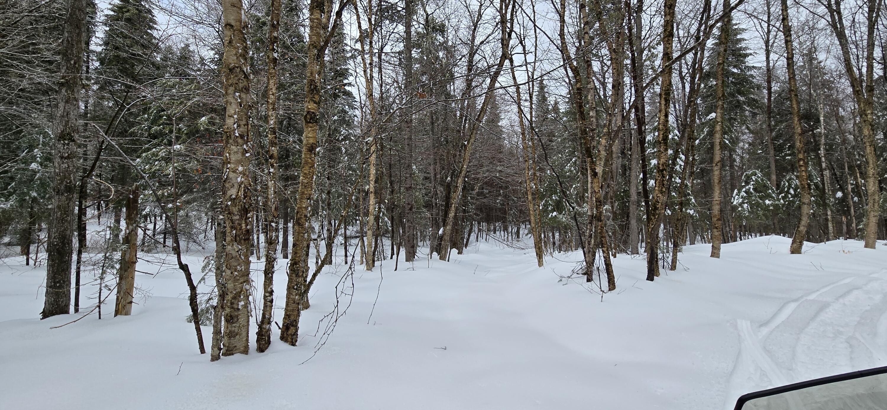 MAP31 Lot12 Madawaska ME 04756