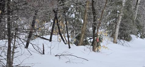 MAP31 Lot12 Madawaska ME 04756