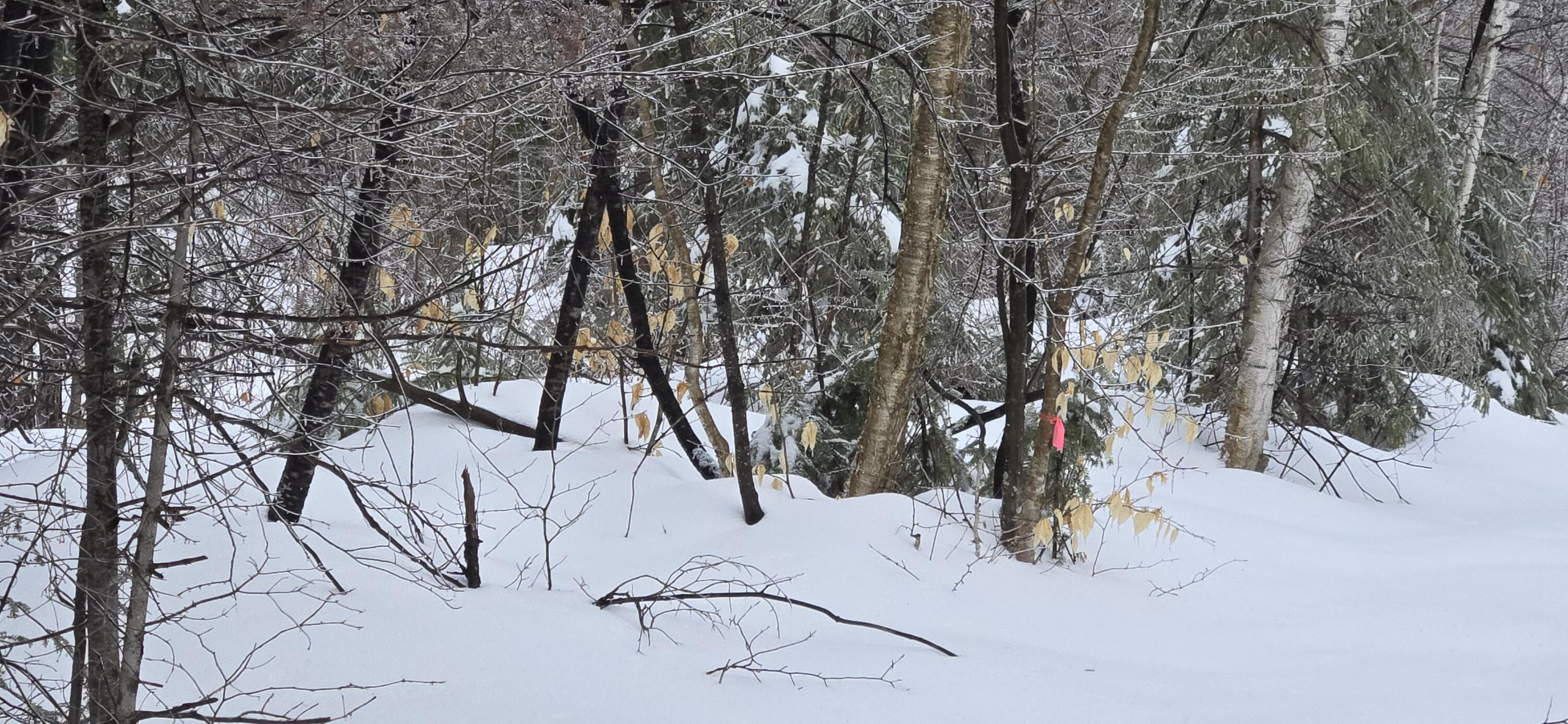 MAP31 Lot12 Madawaska ME 04756