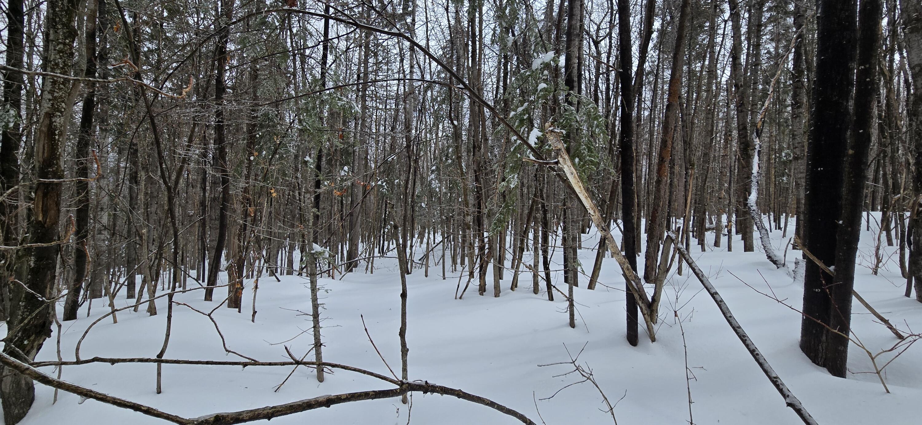 MAP31 Lot12 Madawaska ME 04756