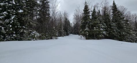 MAP31 Lot12 Madawaska ME 04756