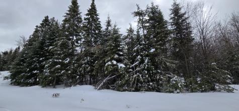 MAP31 Lot12 Madawaska ME 04756