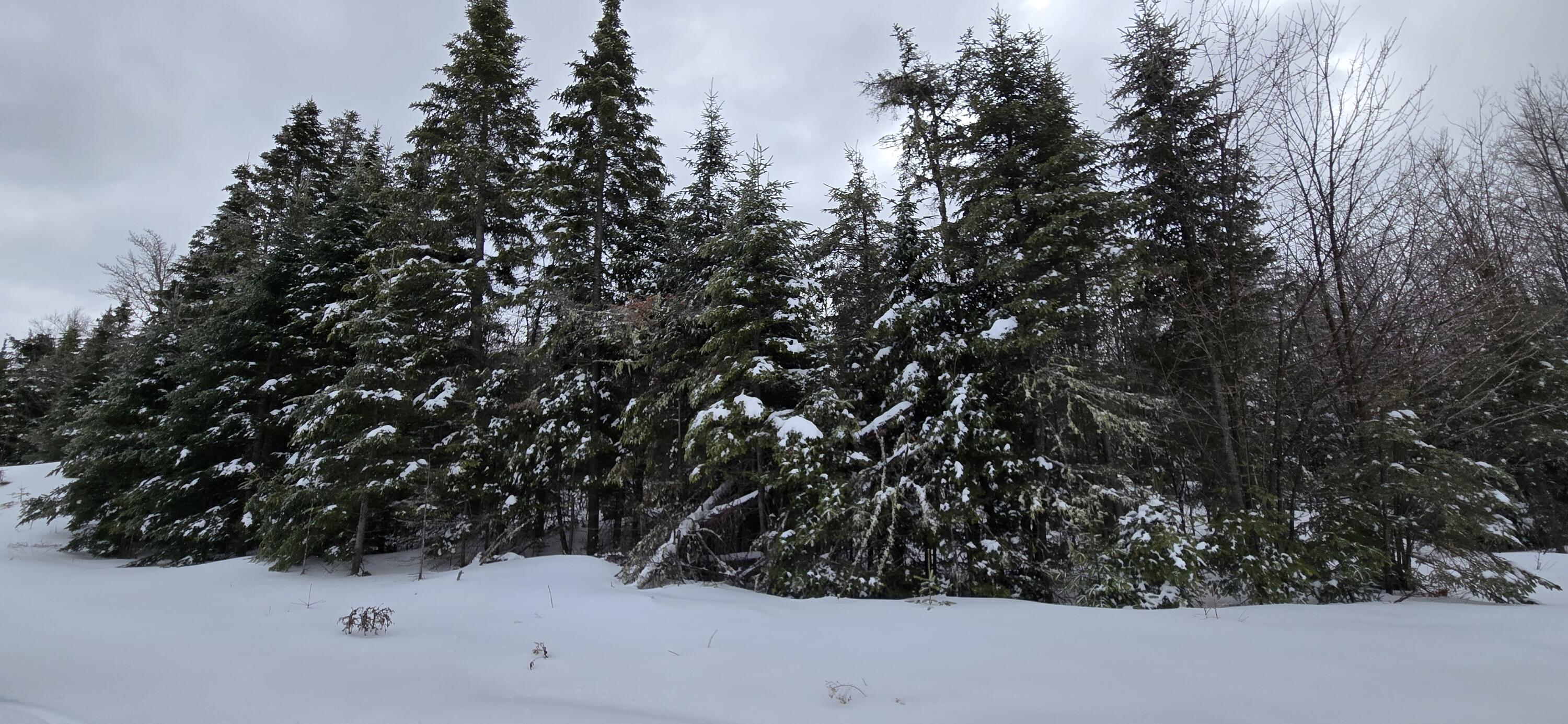 MAP31 Lot12 Madawaska ME 04756